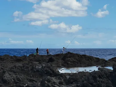 Image de Piscine naturelle Bassin Caverne