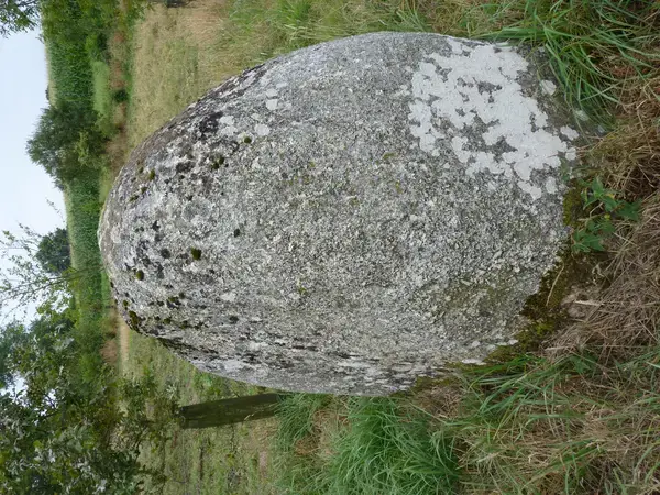 Abri Piscine Sans Rail Constructeur abri de piscine Plaintel